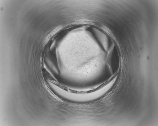 X0000054470389200508191733