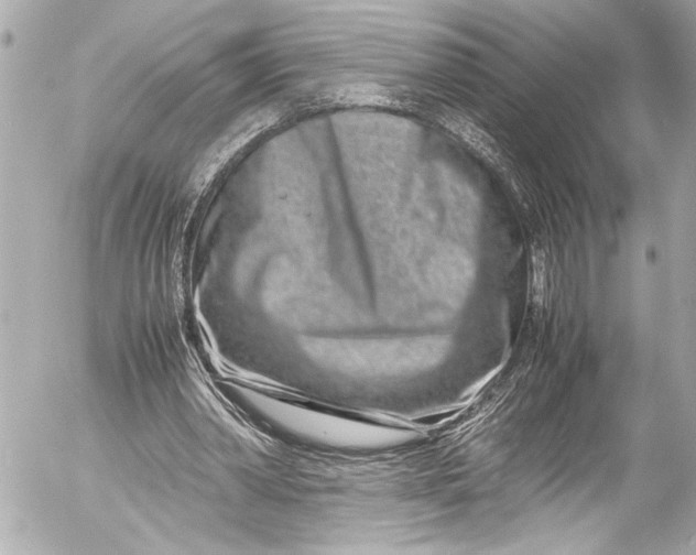 X0000054470390200508191733