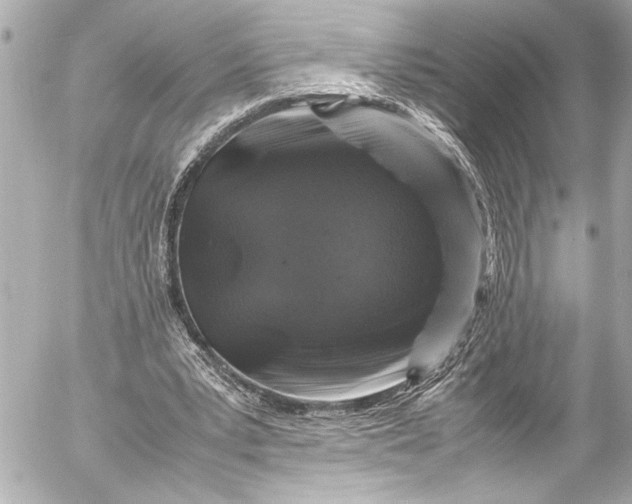 X0000054470391200508191733