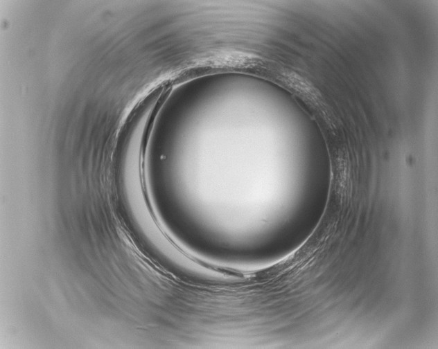 X0000054470392200508191733