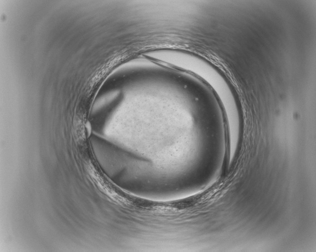 X0000054470393200508191733