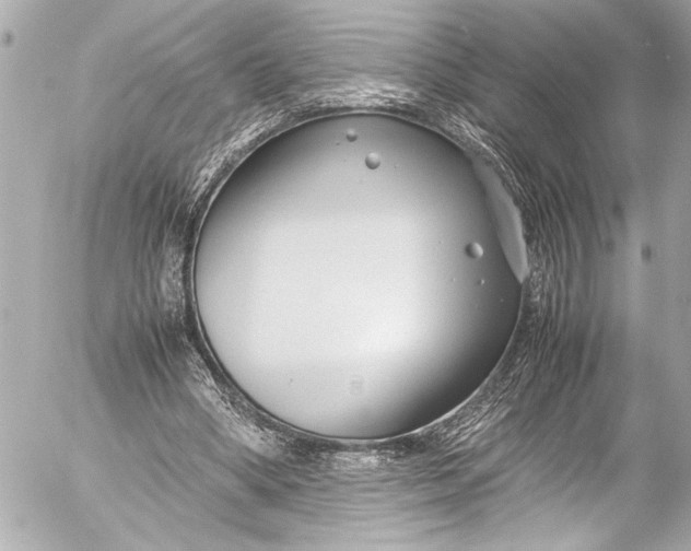 X0000054470394200508191733