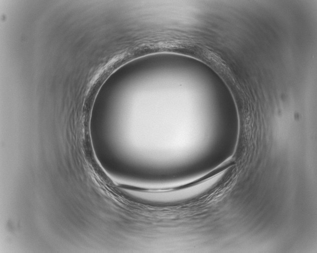 X0000054470395200508191733