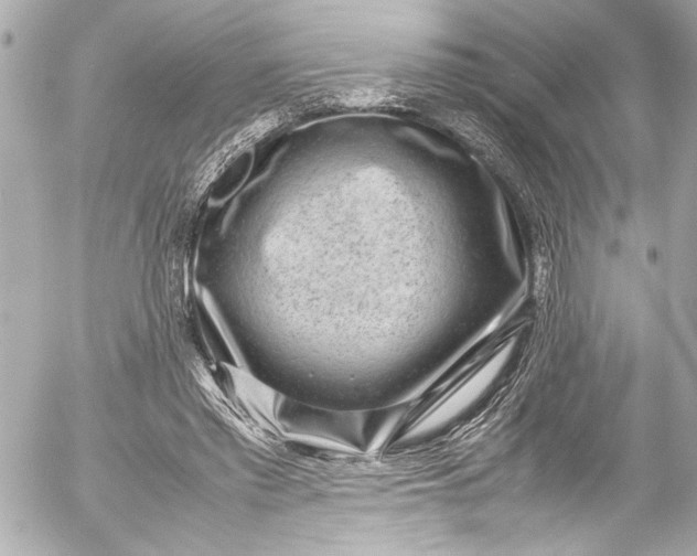 X0000054470397200508191733