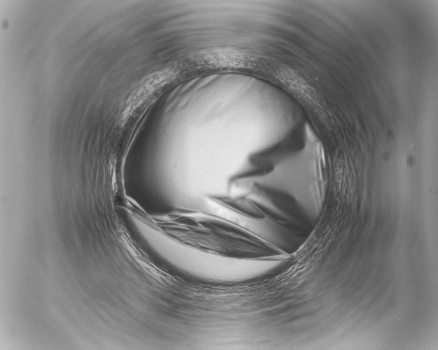 X0000054470398200508191733