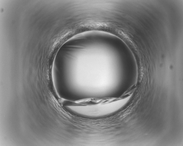 X0000054470399200508191733