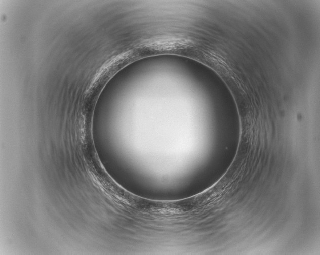 X0000054470400200508191733