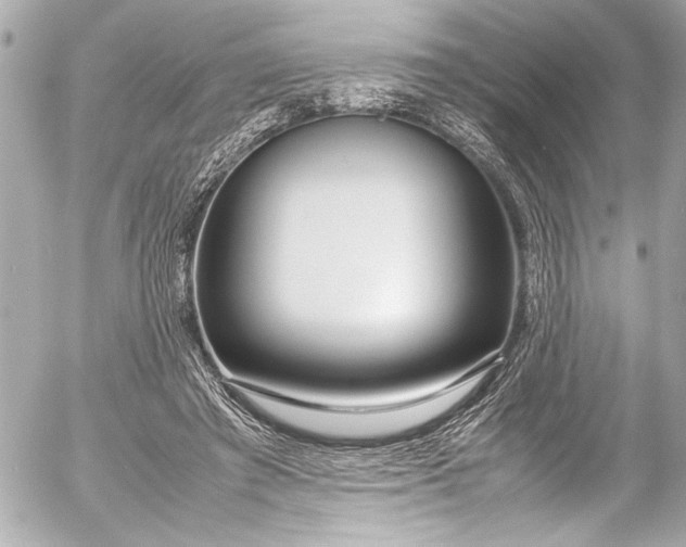 X0000054470401200508191733