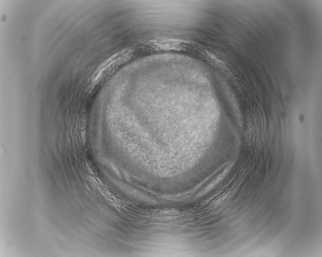 X0000054470402200508191733