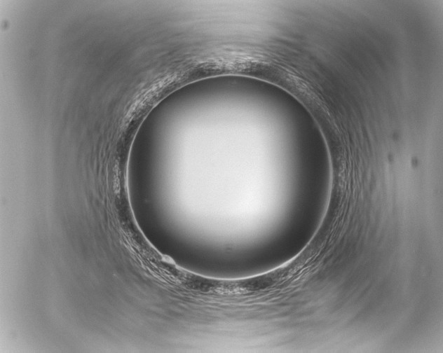 X0000054470403200508191733