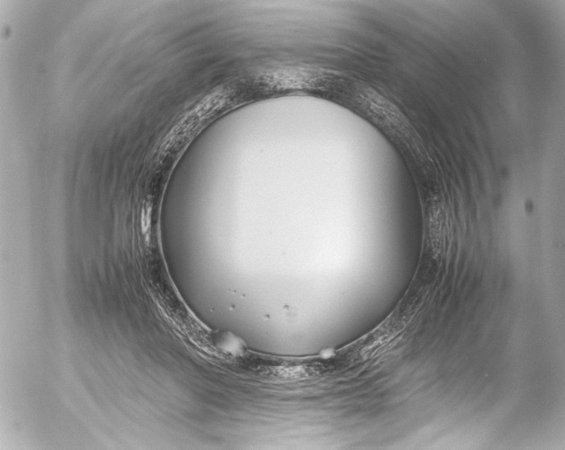 X0000054470406200508191733