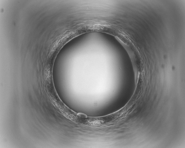 X0000054470407200508191733