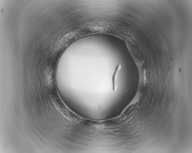 X0000054470408200508191733