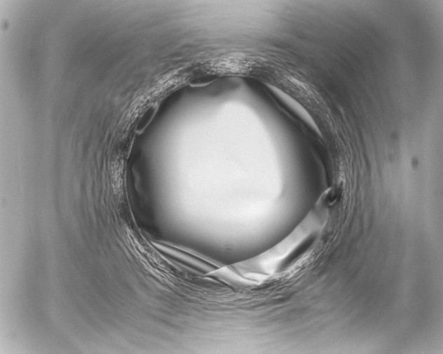 X0000054470409200508191733