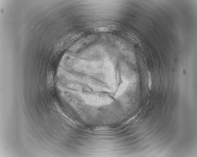 X0000054470410200508191733