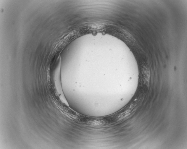 X0000054470412200508191733