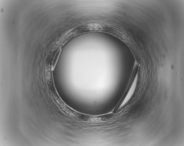 X0000054470413200508191733