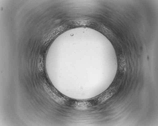 X0000054470414200508191733