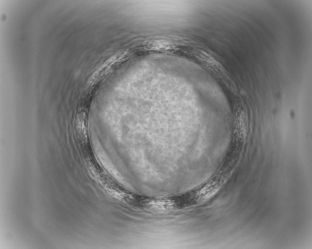 X0000054470415200508191733