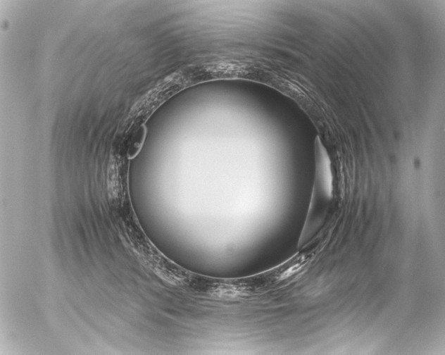 X0000054470416200508191733