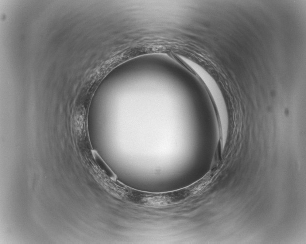 X0000054470417200508191733