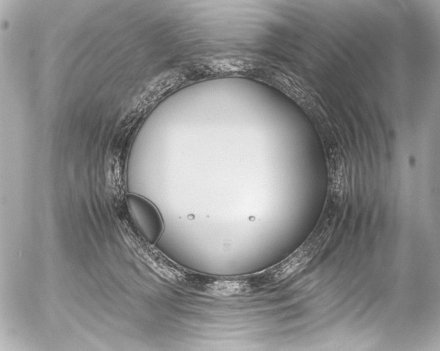 X0000054470418200508191733