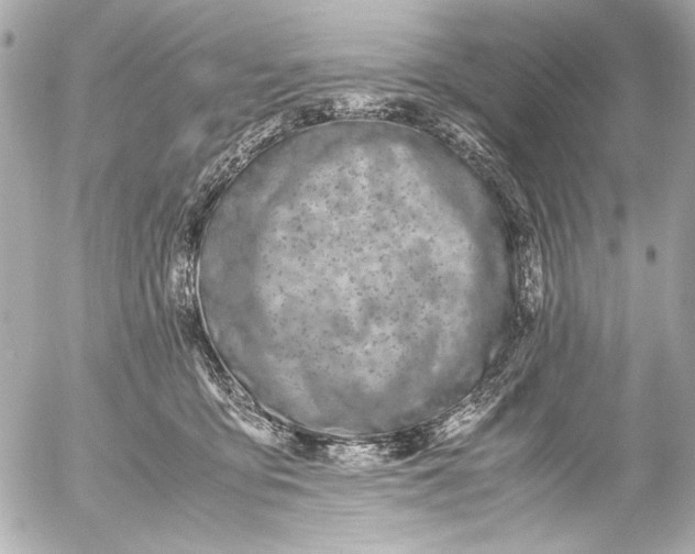 X0000054470419200508191733