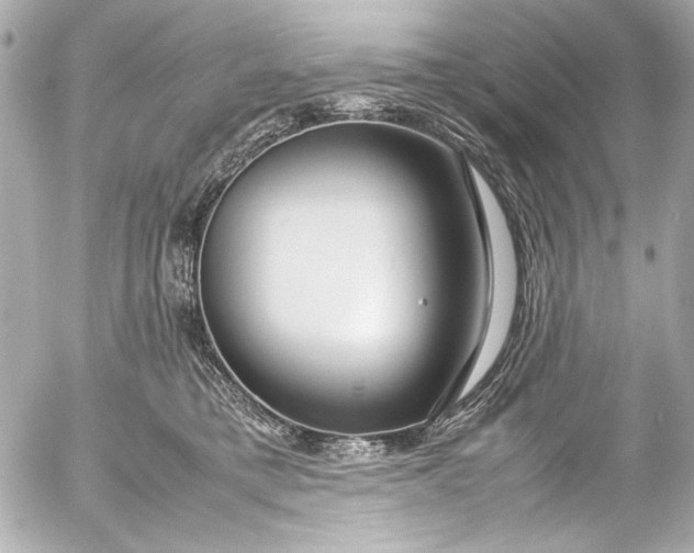 X0000054470421200508191733