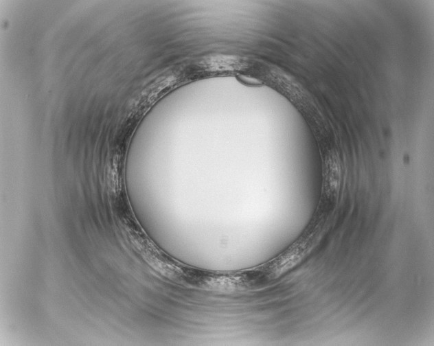 X0000054470422200508191733