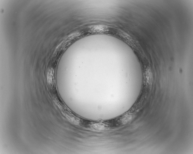 X0000054470423200508191733