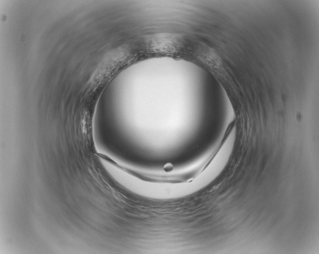 X0000054470424200508191733