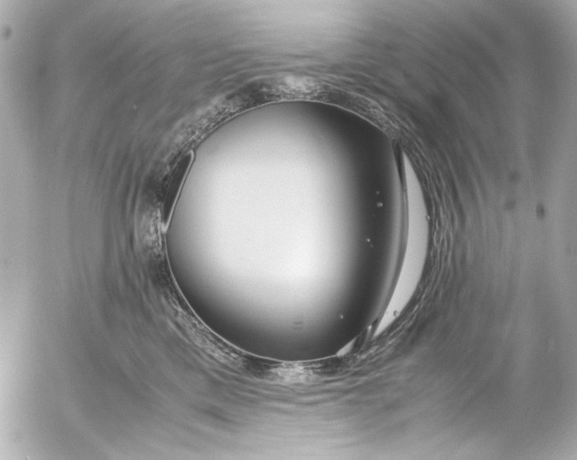 X0000054470425200508191733