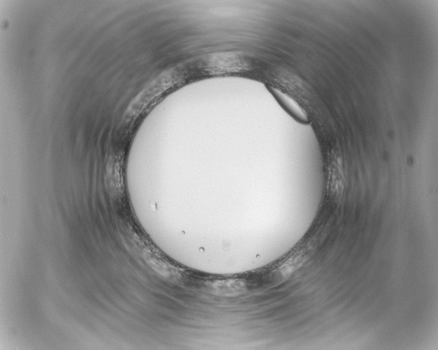 X0000054470426200508191733