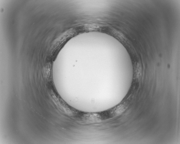 X0000054470427200508191733