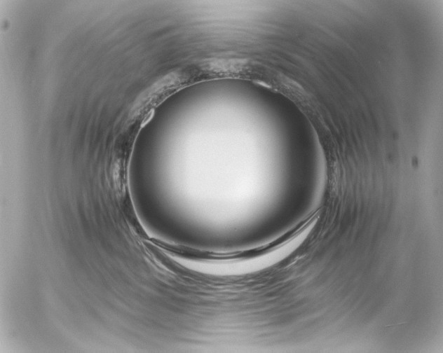 X0000054470428200508191733