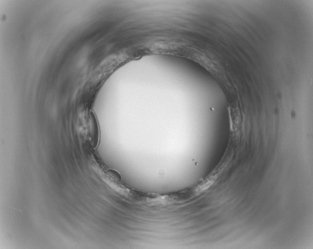 X0000054470430200508191733