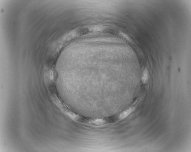 X0000054470431200508191733