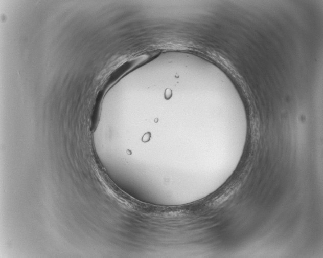 X0000054470433200508191732