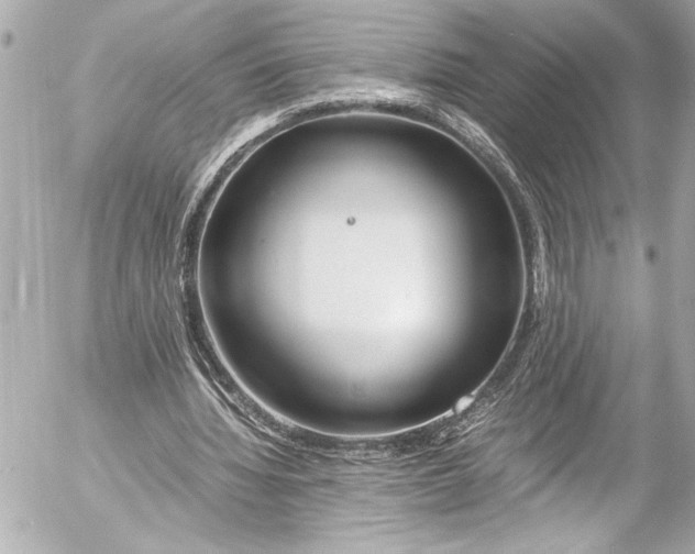 X0000054470436200508191732