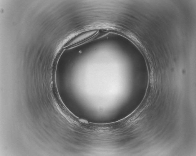 X0000054470438200508191732