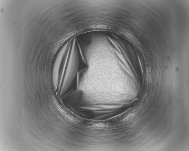 X0000054470441200508191732