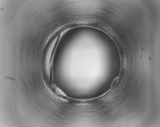 X0000054470444200508191732