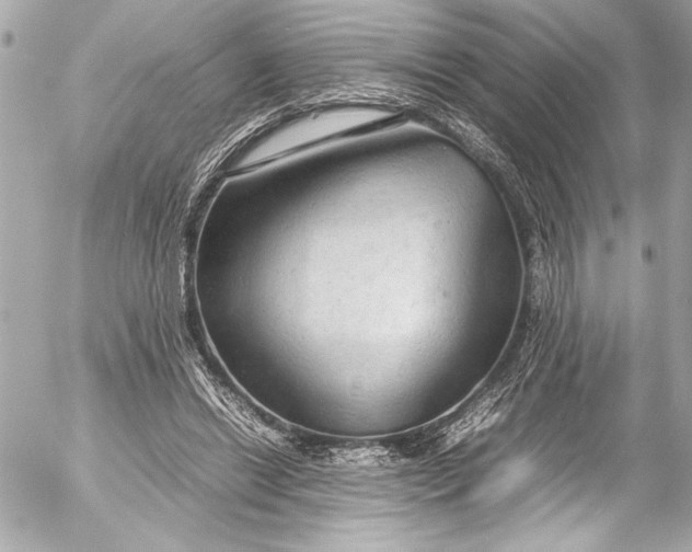 X0000054470446200508191732