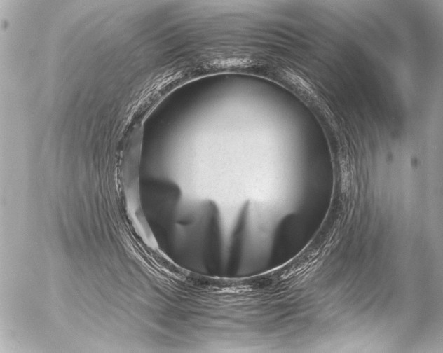 X0000054470447200508191732