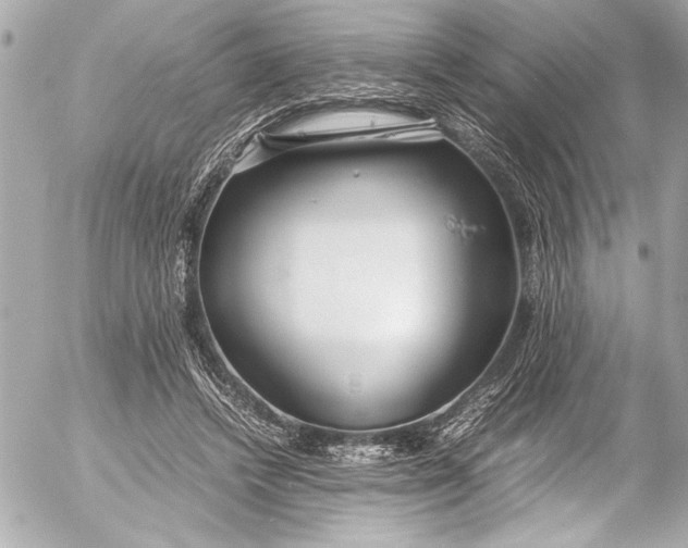 X0000054470448200508191732