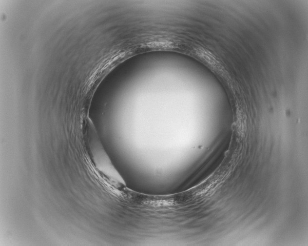 X0000054470449200508191732