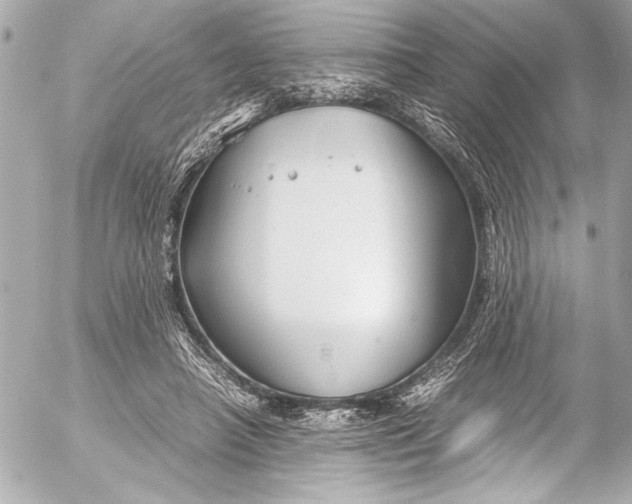 X0000054470450200508191732