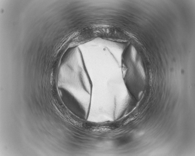 X0000054470451200508191732