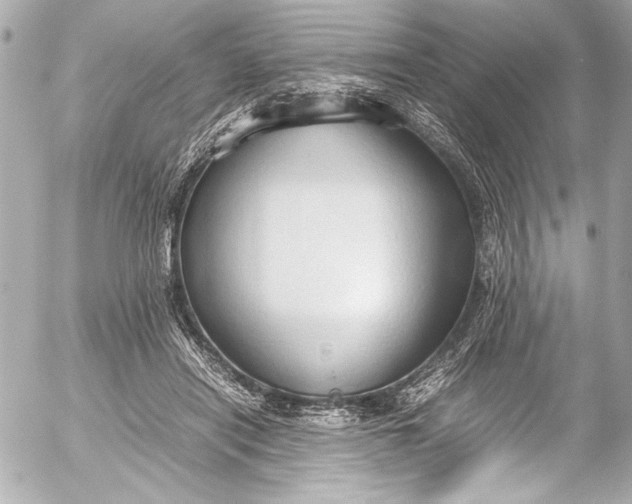 X0000054470454200508191732