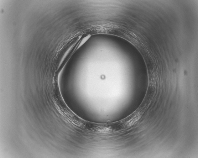 X0000054470456200508191732